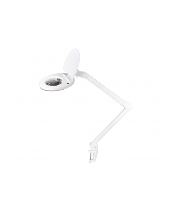Lampa warsztatowa z lupą Rebel 5D 8W 6500 K