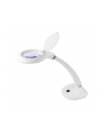 Lampa z lupą na biurko Rebel 6W (30x2835SMD) - nr 1