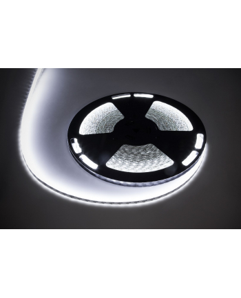 Sznur diodowy 25m Rebel (1500x5050 SMD) zimny biały wodoodporny, 12V