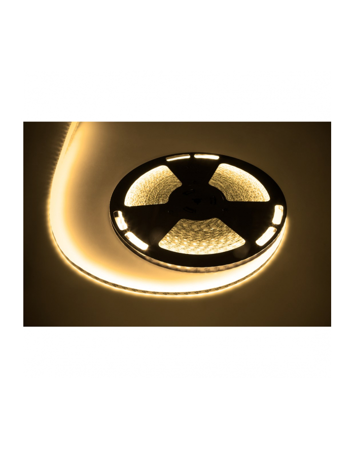 Sznur diodowy 25m Rebel (1500x5050 SMD) ciepły biały wodoodporny, 12V główny