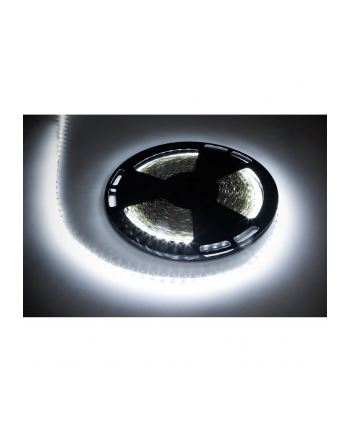 sznur diodowy 25m Rebel (1500x5050 SMD) zimny biały, 12V