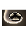 Sznur diodowy 25m Rebel 300x5050 SMD) neutralny wodoodporny, 12V - nr 1