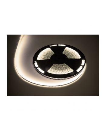 Sznur diodowy 25m Rebel 300x5050 SMD) neutralny wodoodporny, 12V