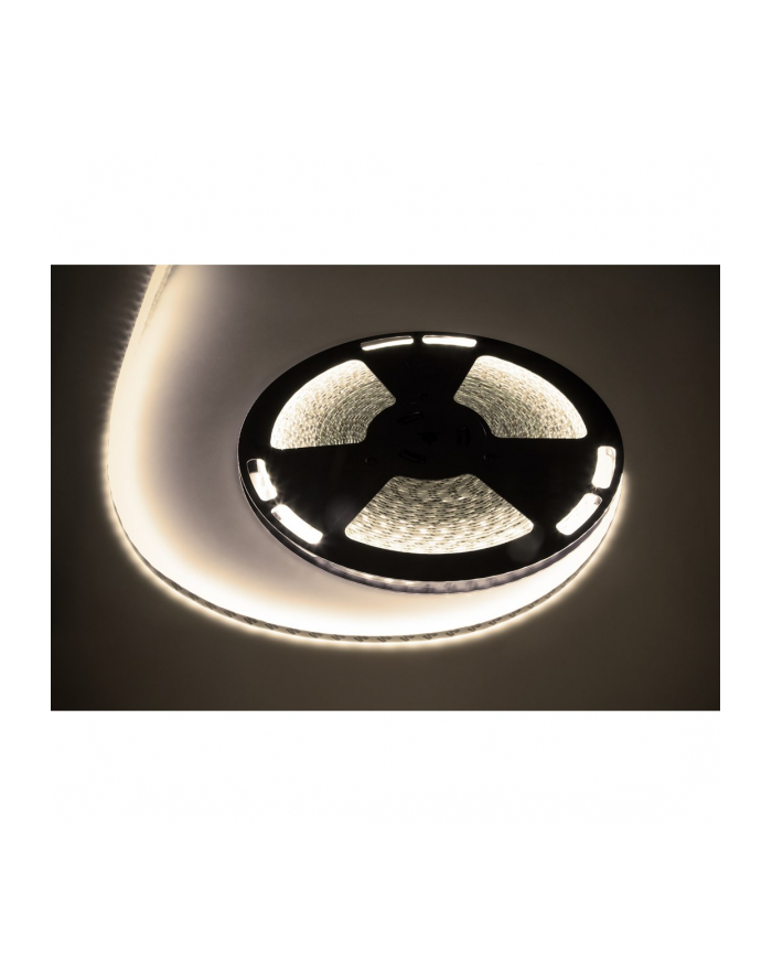 Sznur diodowy 25m Rebel 300x5050 SMD) neutralny wodoodporny, 12V główny
