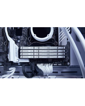 kingston 32GB DDR5-6000MT/S CL36/DIMM FURY BEAST WHITE EXPO