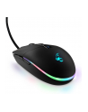 MOUSE USB OPTICAL BLACK/MRGS202 MEDIARANGE - nr 3