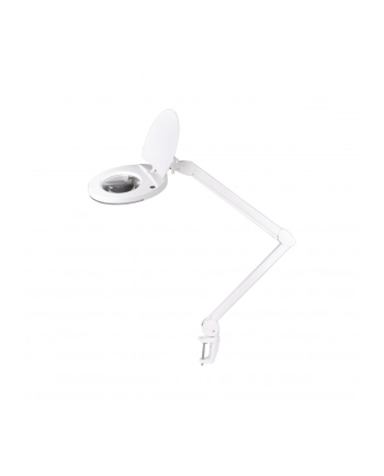 Lampa warsztatowa z lupą Rebel 5D 8W 6500 K