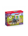 Schleich 42709 Boks dla konia Lisa 'amp; Storm - nr 4