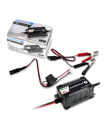 Ładowarka prostownik do akumulatorów 6V/12V everActive 14V/1A CBC-1