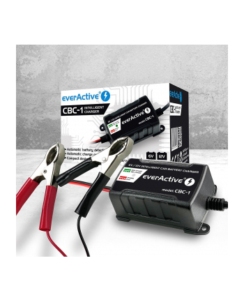 Ładowarka prostownik do akumulatorów 6V/12V everActive 14V/1A CBC-1