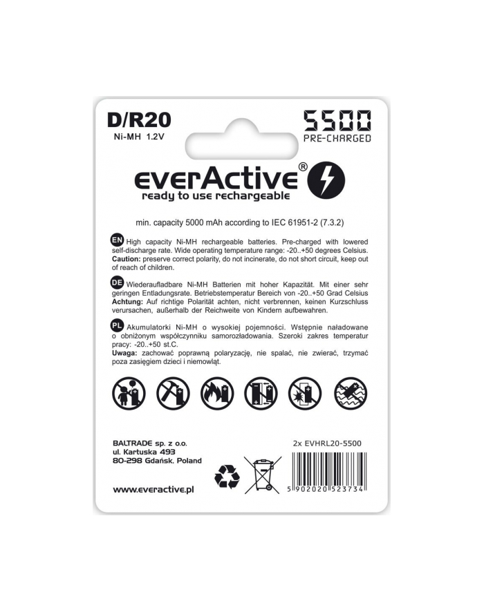 Akumulatorki D / R20 Ni-MH everActive 5500mAh Silver Line (box 2 szt) główny