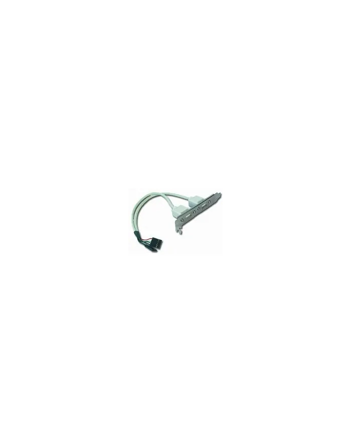 Gniazdo, śledź Gembird CC-USB-RECEPTACLE do obudowy 2x USB 20 główny