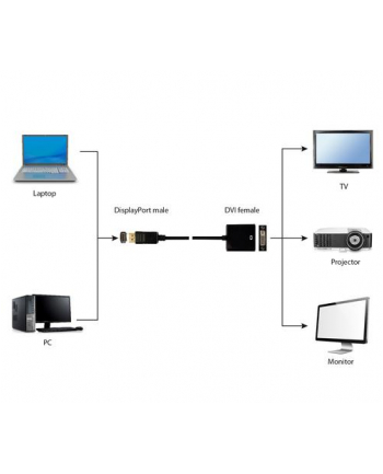 ADAPTER I / O DISPLAYPORT TO DVI BLACK A-DPM-DVIF-002 GEMBIRD nr 2