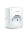 TP-Link TAPO P100( 1 x gniazdo sieciowe 2990 W - nr 28