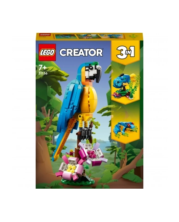 LEGO 31136 CREATOR Egzotyczna papuga p6