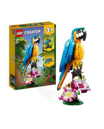 LEGO 31136 CREATOR Egzotyczna papuga p6