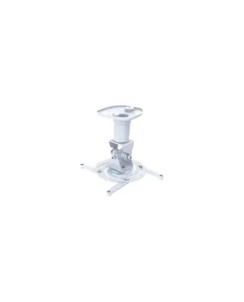 techly Uchwyt do Projektora Sufitowy 22cm 10kg Biały Regulowany