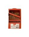 makita ZESTAW WIERTEŁ TYTAN HSS-G TIN 25szt 1-13mm - nr 1