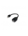 LENOVO MINI DP(M)/FULL SIZE(F)/F/ THINKPAD NOTEBOOKS - nr 1