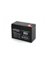 Akumulator żelowy uniwersalny dla UPS 12V/9AH Gembird - nr 4