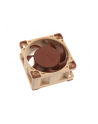 Noctua NF-A4x20 PWM indsats med blaser - nr 10