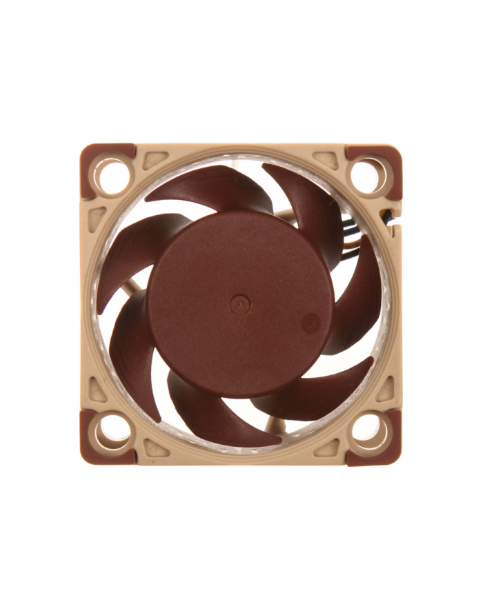 Noctua NF-A4x20 PWM indsats med blaser główny