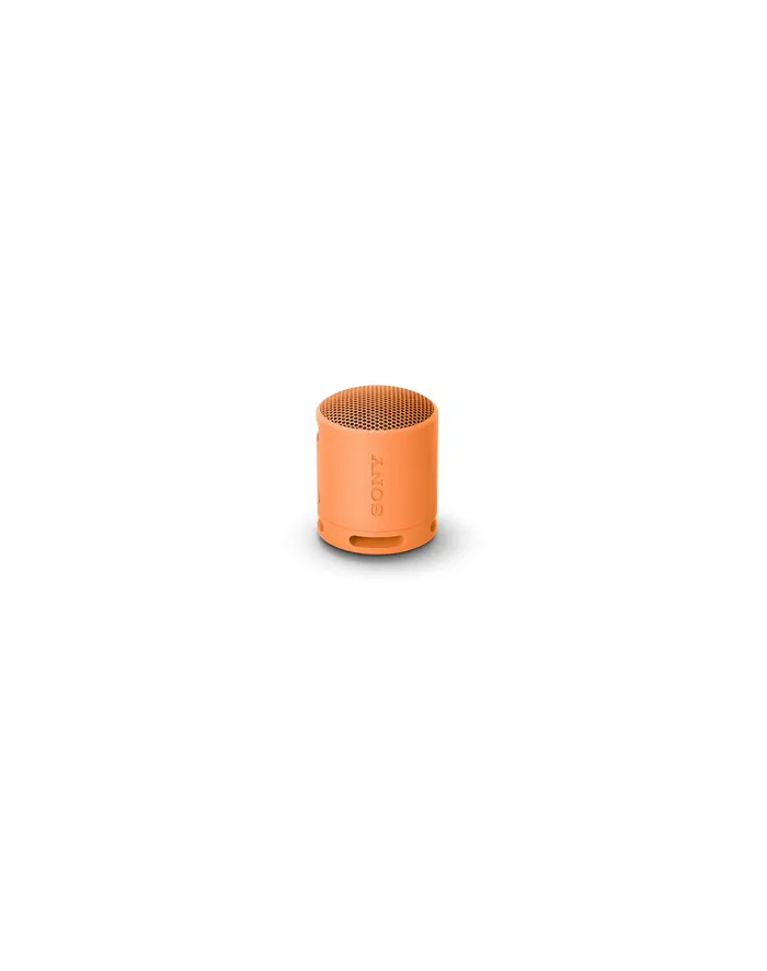 Sony | Głośnik | Głośnik SRS-XB100 | Wodoodporny | Łączność Bluetooth | Jasnoszary | Przenośny | Połączenie bezprzewodowe główny