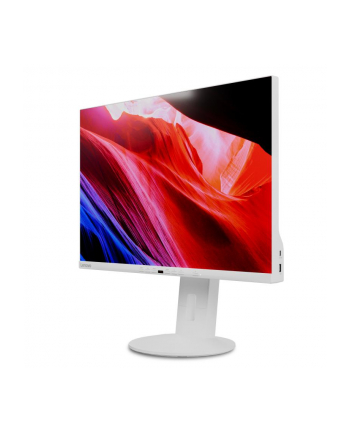 Lenovo Monitor C24d-20 4''; 1920x1200 WUXGA 16:10 IPS 5 ms pivot USB-C Biały