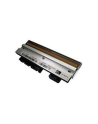 zebra KIT PRINTHEAD TTP2000 - nr 13
