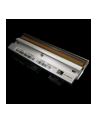 zebra KIT PRINTHEAD TTP2000 - nr 15