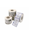zebra POLYPRO 3000T GLOSS 51X25MM TT/PERMANENT ADHESIVE 25MM CORE - nr 1