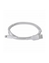 belkin LIGHTNING BLAD-E/SYNC CABLE/MFI 1M WHITE - nr 15
