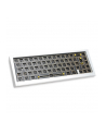 Klawiatura do gier Ducky Outlaw 65, Barebone - Srebrny (ISO) - nr 3