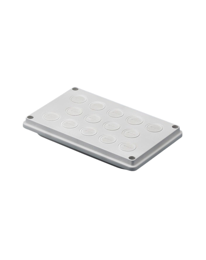 Rittal Płyta z Przepustami Kablowymiz Uszczelnieniem250x160mm (9665.750) główny