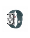 apple Pasek sportowy w kolorze górskiego jeziora do koperty 40 mm - rozmiar M/L - nr 2