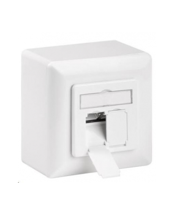 Premiumcord Cat 6A Class Ea Síťová Zásuvka Na/Pod Omítku 2X Rj45 (44431)