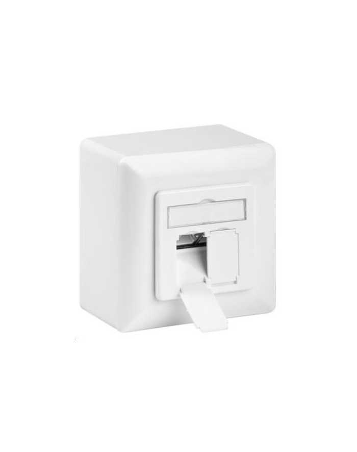 Premiumcord Cat 6A Class Ea Síťová Zásuvka Na/Pod Omítku 2X Rj45 (44431) główny