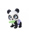 Pamper Petz Panda z pieluszkowego gangu Simba - nr 3
