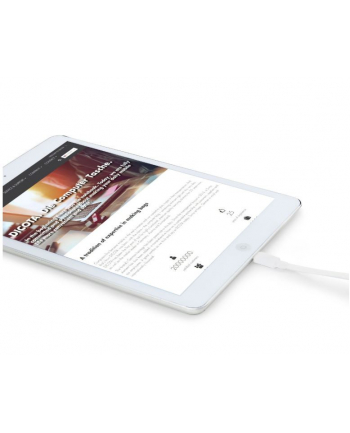 dicota Ładowarka GaN 32W 2xUSB-A 1xUSB-C biała
