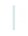 APPLE 49mm Ice Blue Ocean Band Extension - Natural Titanium Finish - nr 5
