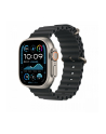 APPLE 49mm Black Ocean Band - Natural Titanium Finish - nr 2