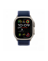 APPLE 49mm Blue Trail Loop - S/M - Natural Titanium Finish - nr 3