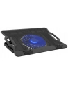 natec Podstawka chłodząca DIPPER 2 12.1-17.3'' 2 USB LED - nr 16