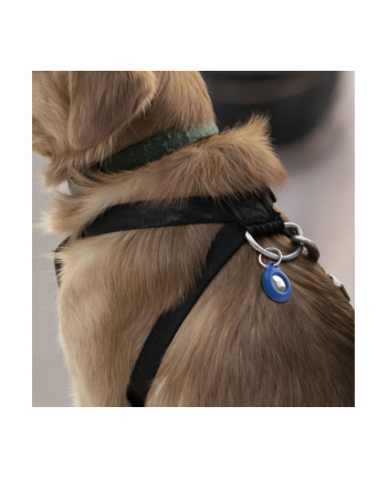 Belkin Secure Holder waterproof Key Ring blue MSC016btBK