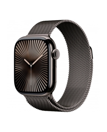 Apple Watch 10 42mm GPS+4G Titan Milanese Slate/Slate