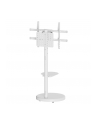 Stojak mobilny Techly TV 37-86'' do 50kg regulowany półka uchwyt AV - nr 12