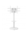 Stojak mobilny Techly TV 37-86'' do 50kg regulowany półka uchwyt AV - nr 1