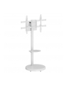 Stojak mobilny Techly TV 37-86'' do 50kg regulowany półka uchwyt AV - nr 2