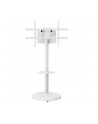 Stojak mobilny Techly TV 37-86'' do 50kg regulowany półka uchwyt AV - nr 8