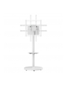 Stojak mobilny Techly TV 37-86'' do 50kg regulowany półka uchwyt AV - nr 9